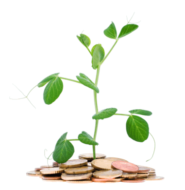 Grow your financial future